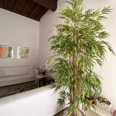 Suite Saffi 99 Viterbo Kültér fotó